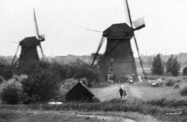 WINDMILLS HOLLAND by Bob Modersohn