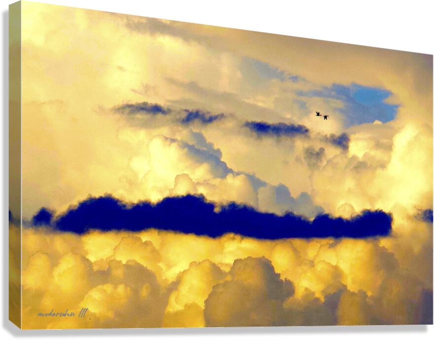 CLOUDS 2 GEESE  Canvas Print