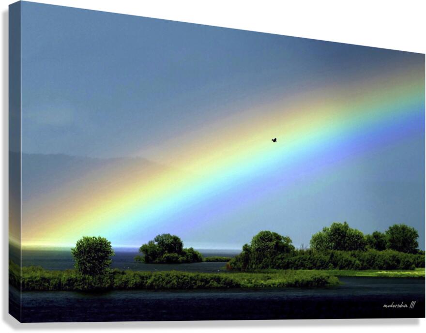 RAINBOW BIRD  Canvas Print