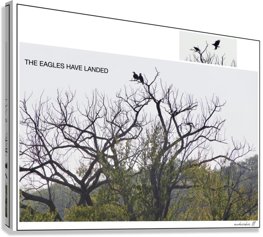 EAGLES LANDING Canvas Print