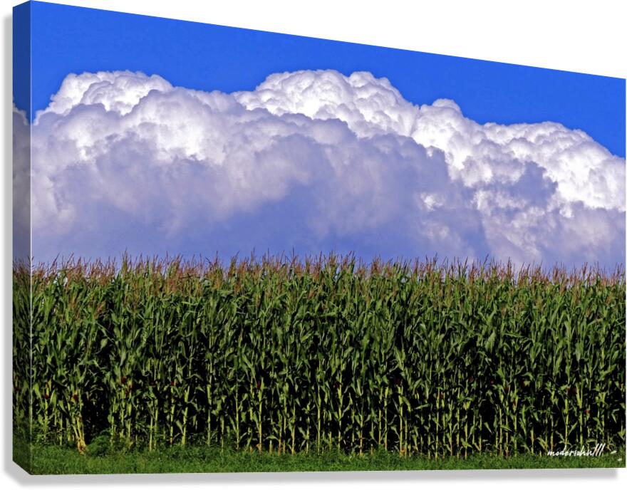 CORN CLOUD CUPCAKE Canvas Print