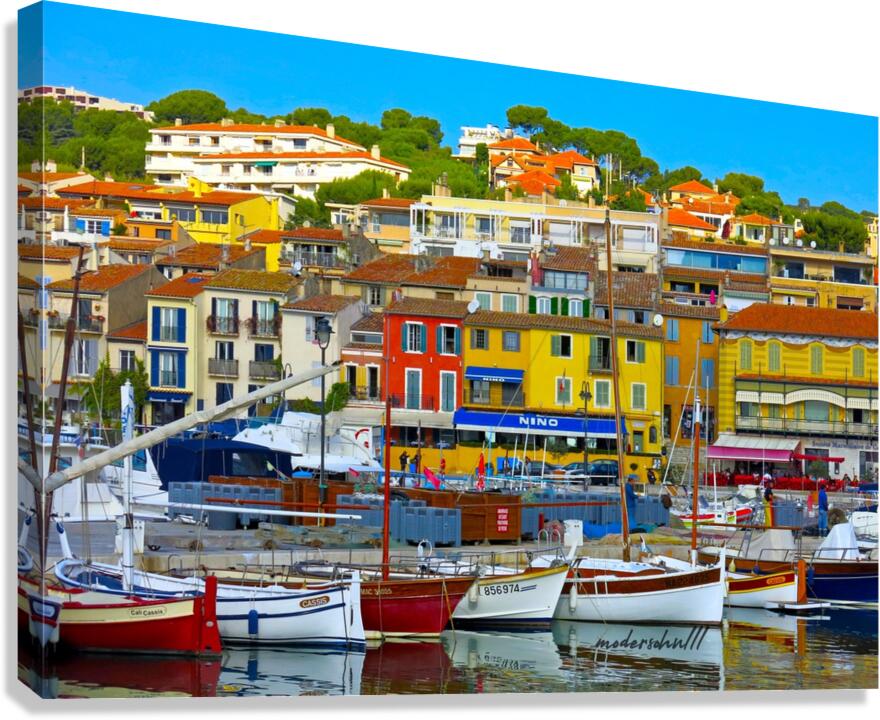 CASSIS Canvas Print