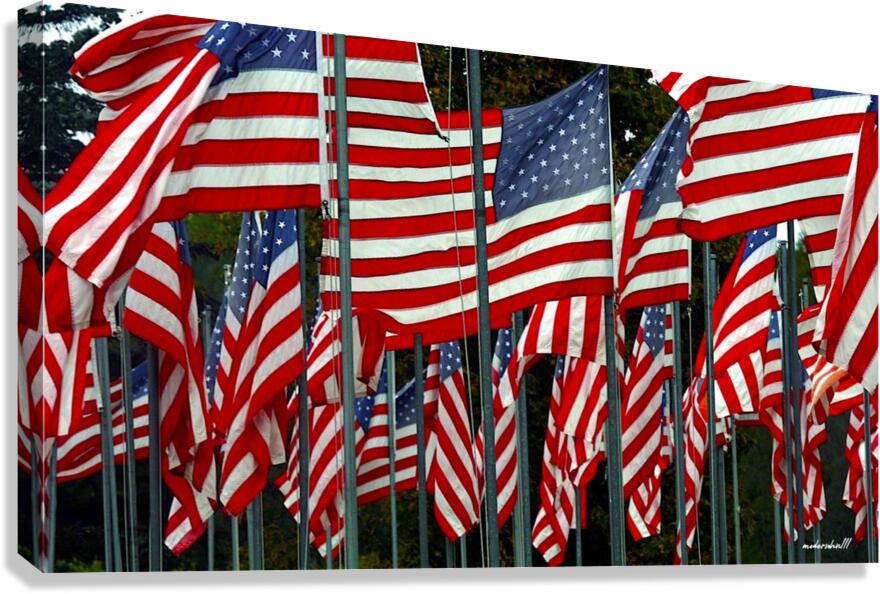 FLAG-JAM Canvas Print