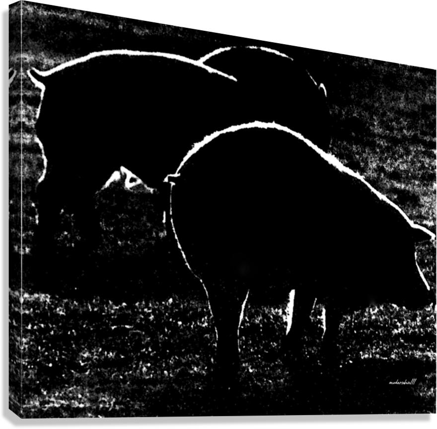 PIGS backlit Canvas Print