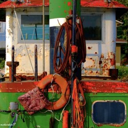 BOAT COLOR