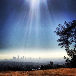 LA SKYLINE