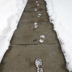 SNOWY FOOTPRINTS