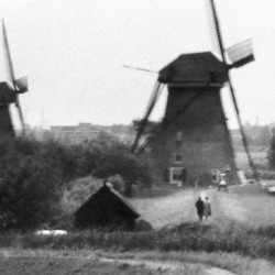 WINDMILLS HOLLAND