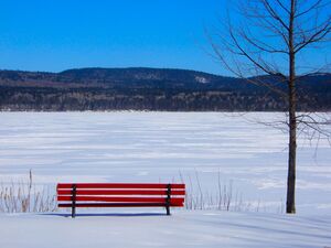 Red Bench in Winter