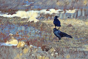 Two Crows in the Spring