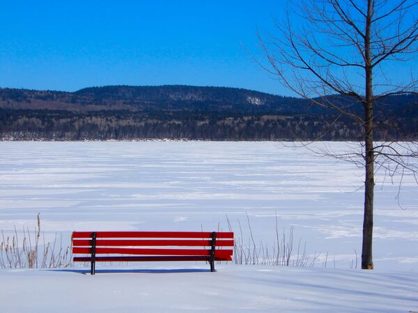 Red Bench in Winter Print