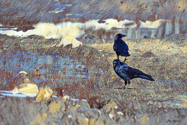 Two Crows in the Spring Print