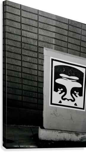 Obey Canvas Print