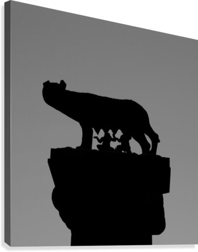 The Shewolf Canvas Print