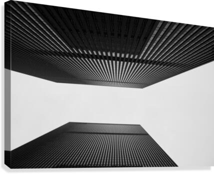 Up Canvas Print