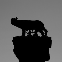 The Shewolf