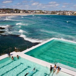 The Icebergs
