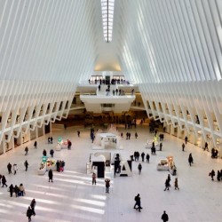 Oculus