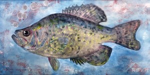 White Crappie Fish 
