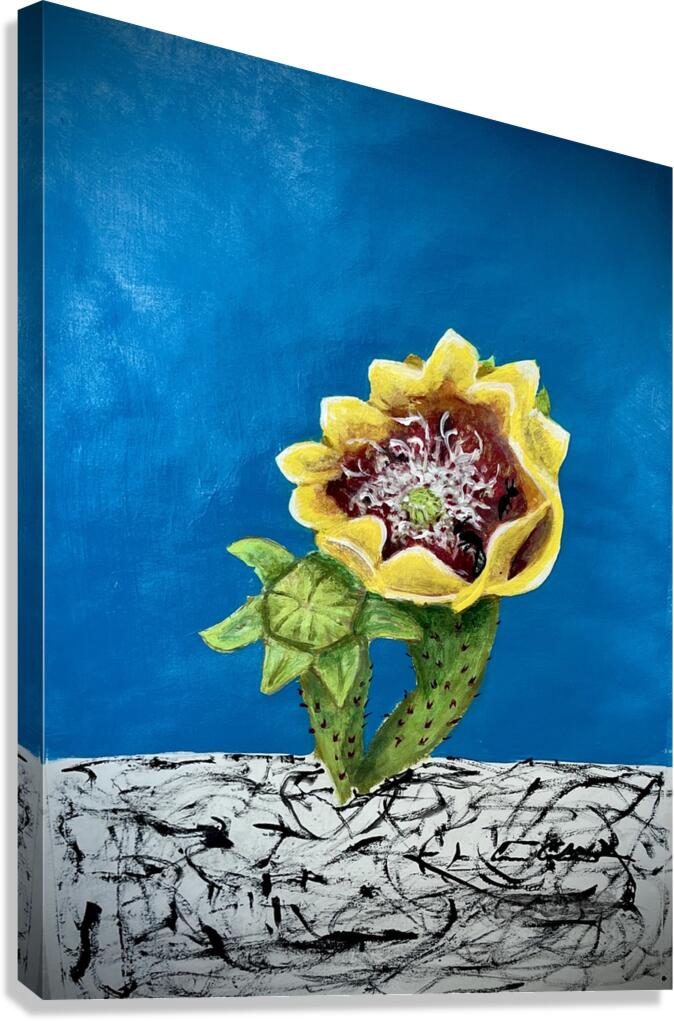 Cactus Bloom Canvas Print
