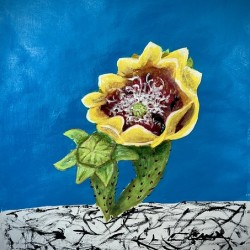 Cactus Bloom