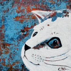 Blue kitty 