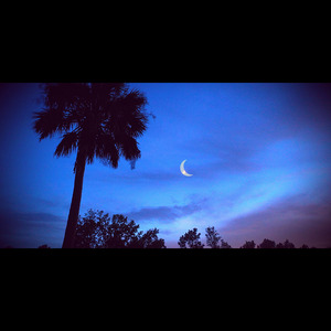 Baddie by Oak Angel Sawyer and Mill