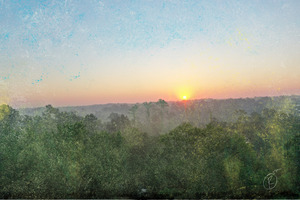 JI s Sunrise by Oak Angel Sawyer and Mill