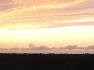 ra nell  by Oak Angel Sawyer and Mill