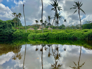 Bali Reflections