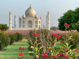 The Taj Mahal Collection 1