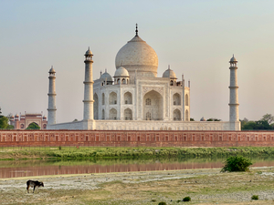 The Taj Mahal Collection 12