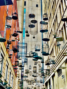 All the Cages