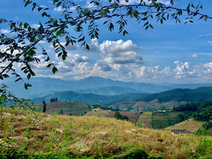 Amazing Landscape