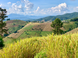 Amazing Landscape 3