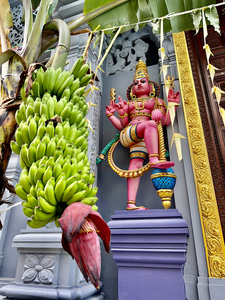 Bananas Offering