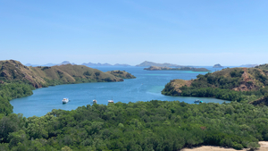 Beautiful Bay