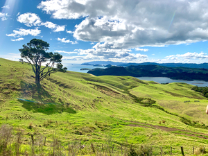 Beautiful Scenery
