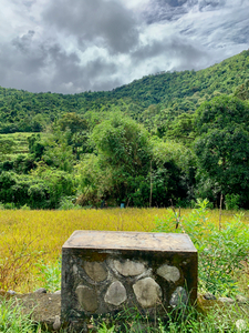Block on Nature