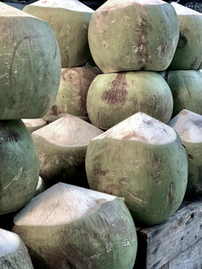 Coconut Stack