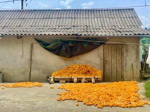 Dry Corn House