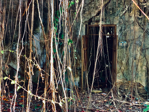 Find the Entrance