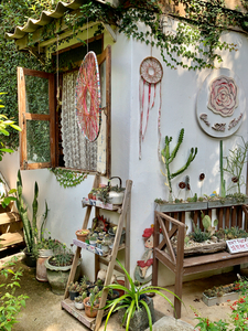 Hippie House