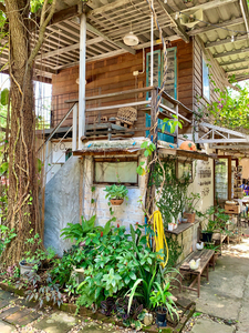 Hippie House 2
