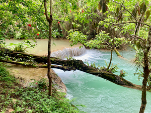 Kuang Si Waterfalls 4