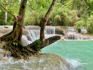 Kuang Si Waterfalls 6