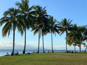 Let s Chill Under the Palm Trees