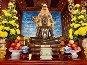 Little Brown Buddha