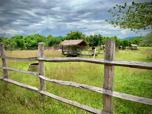 Looking at the Farm