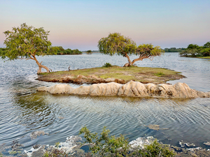 Mini Island